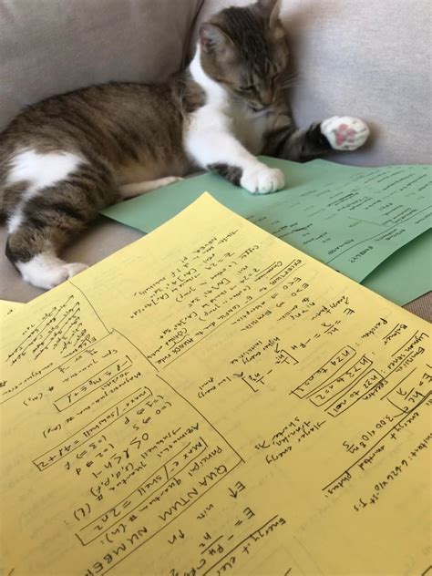 My cat looks as confused as I feel. : r/mcats