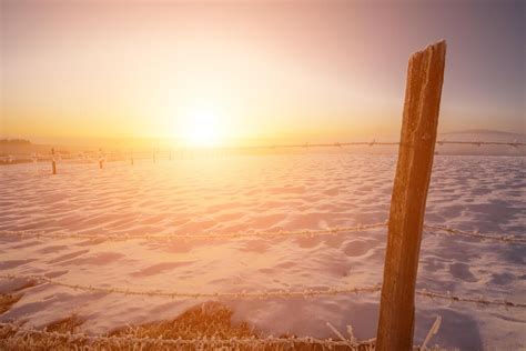 Winter In Australia Stock Photos, Images and Backgrounds for Free Download