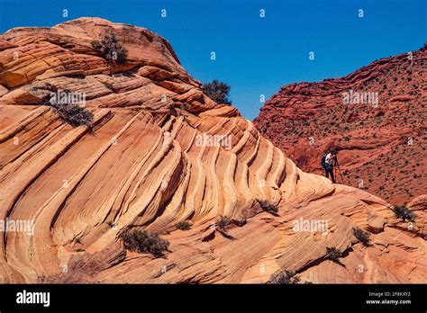 A photographer in North Coyote Buttes, Paria Canyon-Vermilion Cliffs