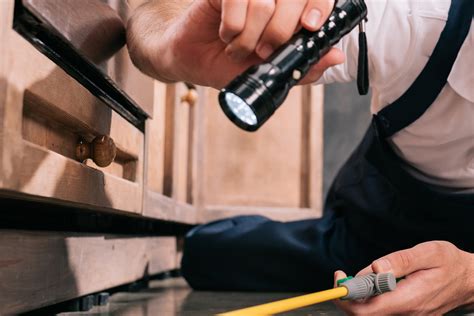 Big Lou Pest Management Solutions – Big Lou Pest Management