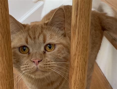 Local guides explain what dover plains has to offer