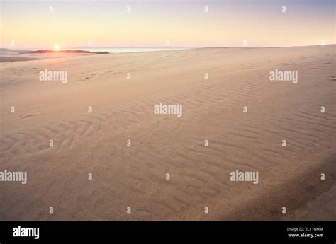 Sand dunes at sunrise Stock Photo - Alamy