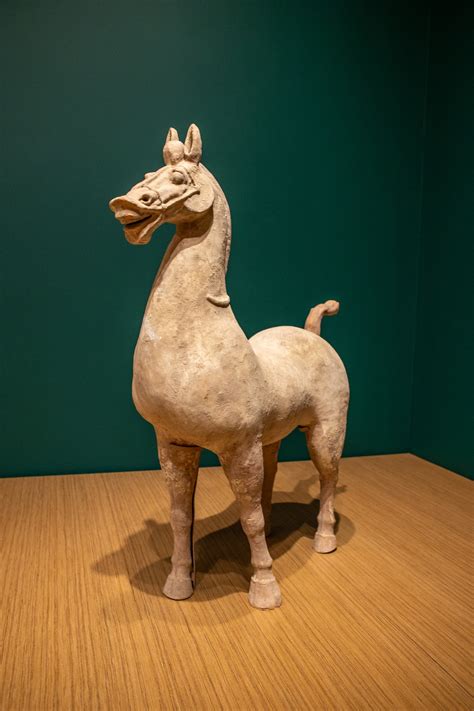 Seattle Art Museum | Seattle WA