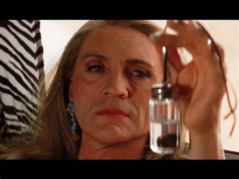 adventures  priscilla queen   desert abba turd youtube