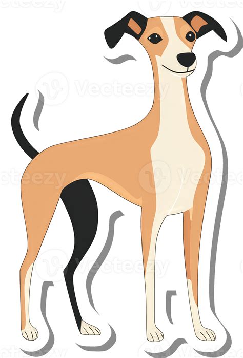 A Whippet Dog Standing Proudly Displayed 55384529 PNG