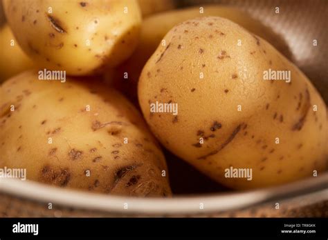 raw  yukon gold potatoes stock photo alamy