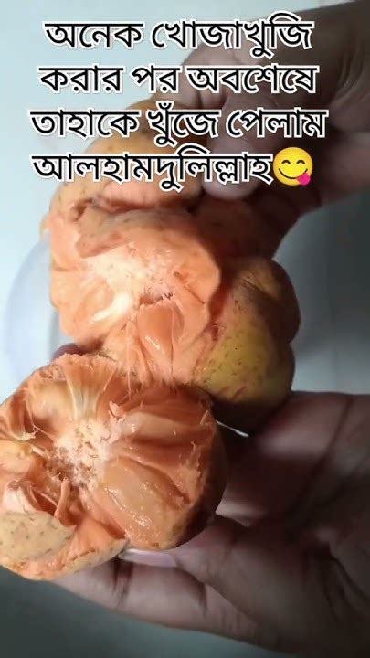 ei fltar nam ki keu blte parben babur ammufacts shortvideo