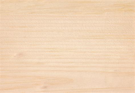 clear pine archifibe