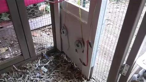 Raspberry Pi Controlled Chicken Coop Door @Raspberry_Pi #piday # ...