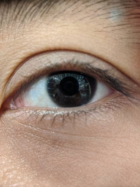 close  eye stock  pictures royalty  images istock