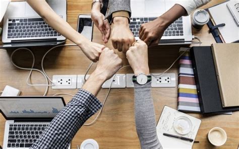 A importância do trabalho em equipe | Manoella Dalledonne