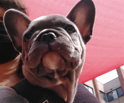 Meet Hank...Hank is... - Riverside Health & Rehab Center | Facebook