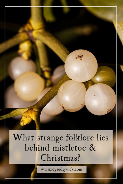 What strange folklore lies behind mistletoe and Christmas?