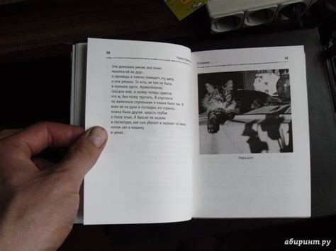Книга: О кошках - Чарльз Буковски. Купить книгу, читать рецензии | Лабиринт