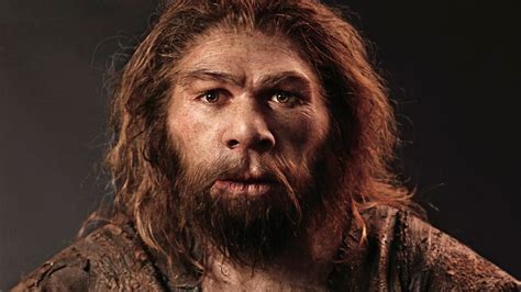 Sex with Neanderthals helped modern humans survive, says study