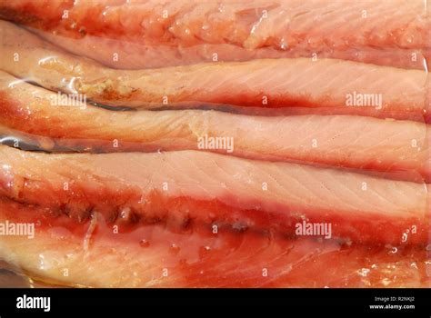 anchovy fillets  oil stock photo alamy