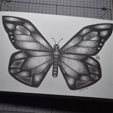 I drew a butterfly ! : r/sketchpad