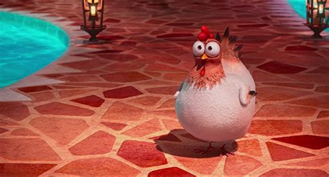 despicable    despicable   chicken chicken  scenes