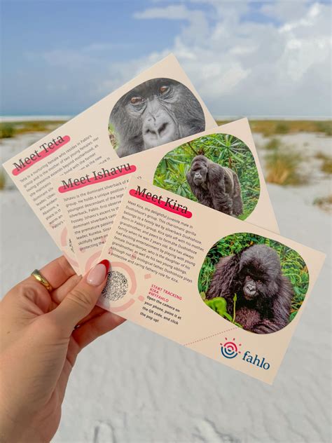 Snapklik.com : Fahlo Gorilla Tracking Bracelet, Elastic, Supports Dian