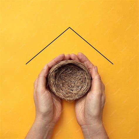 Premium Photo | A man holds a nest in his hand a symbol of the creation