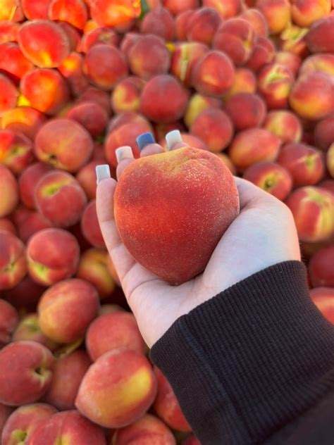 The Fruit Truck - 🍓INVITE CONTEST TEXAS!🍓 Want to win 5 pounds of