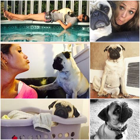 Erika Erickson on Twitter: "Happy #NationalDogDay to my main man HANK ...