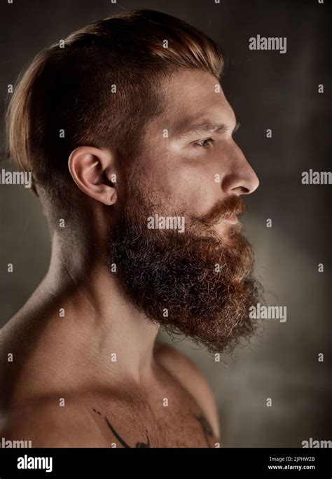 man  beard profile