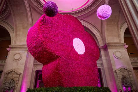 From Appliqué Violets to Polka Dots: Everything You Need to Know About