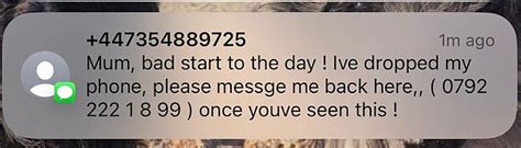 Warning: How criminals are hacking your children's social media using ...