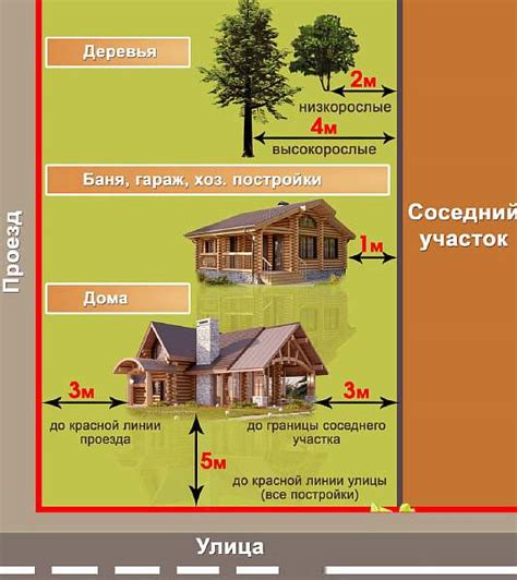 Расстояние от дома до дерева: на каком сажать, нормы СНиП и СанПиН для ...