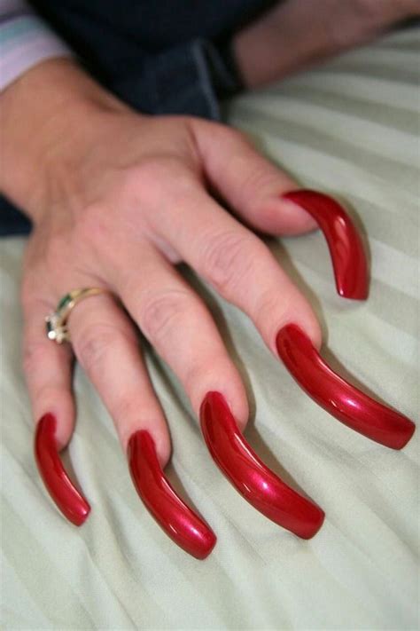 pin  louise gianninoto  nail designs long nails curved nails
