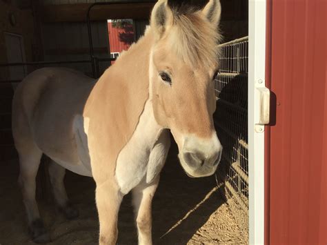 daily comics luann 7