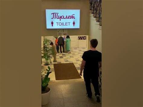 Настоящий Золотой Туалет 😱😂 #рекомендации #общество #shorts - YouTube