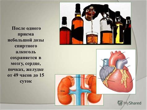 Презентация на тему: "Классный час по теме: «Влияние алкоголя на ...