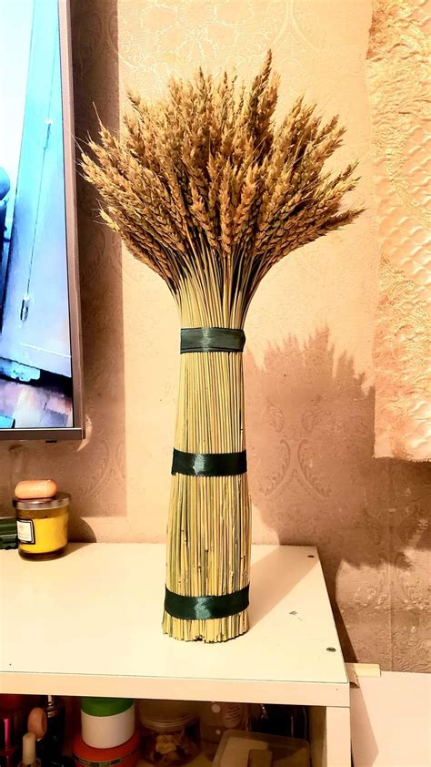 🌾Тариан Түрүү 🌾Хүргэлт Үнэгүй ☎️96062024 : r/Ulaanbaatart