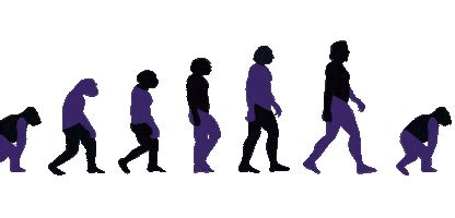 evolution stickers find share  giphy