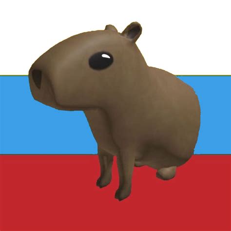 Русская капибара🐗 Capybara, Yandere, Give It To Me, Memes, Baby, Stray ...