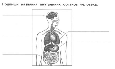 Контрольные работы по окружающему миру в 4 классе