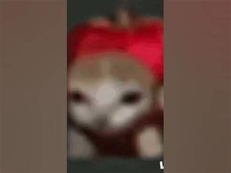 это🤣🤣🤣🤣🤣новый🤣🤣СЕРИМЕР🤣🤣🤣🤣🤣🤣🤣🤣🤣 - YouTube
