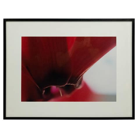 Roswell Angier Photograph of Chesty Morgan, Boston 1973 at 1stDibs