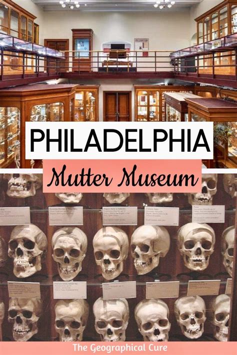 Guide To The Mutter Museum, Philadelphia's Medical History Museum - The