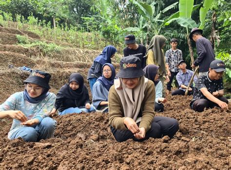belajar pertanian pangan  kebun botani odesa bandung