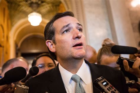 Democrats’ Biggest 2014 Weapon: Ted Cruz | TIME.com