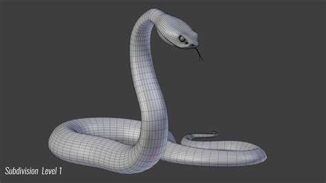 Snake 3D Model $129 - .blend .fbx .max .obj .unknown - Free3D