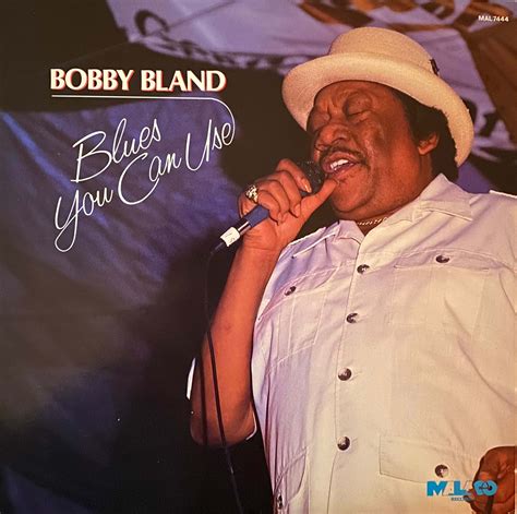 John Ganapes Blues You Can Use 2