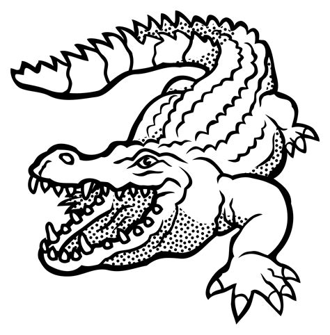 crocodile outline drawing  getdrawings