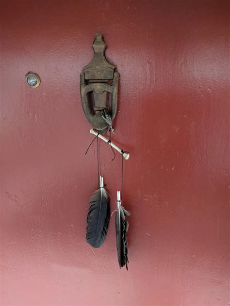 Woke up to this on my door this morning. Real bird bones and feathers