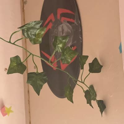Conan Gray Vinyl Record Art - Etsy
