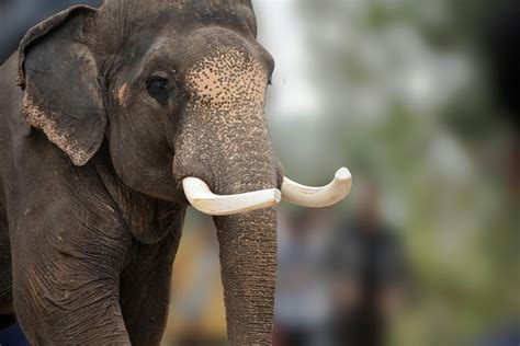 Big+Ass+Muslim Photos, Download The BEST Free Big+Ass+Muslim Stock