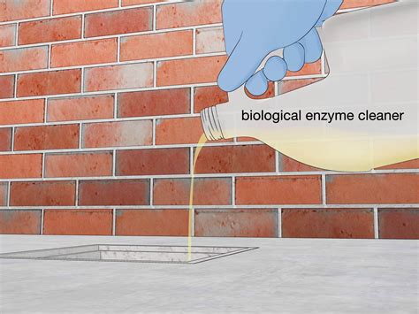 How to Unblock Outdoor Drains: 3 Simple Solutions